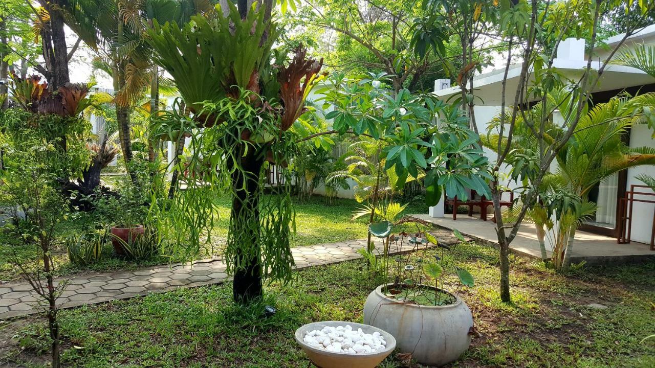 סיהאנוקוויל Sahaa Beach Resort מראה חיצוני תמונה